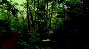 Как сделать порчу? Порча на кладбище. Кладбищенская магия. Как наказать врага? Чёрная магия.