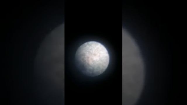 Паутинный клещ на малине смотреть онлайн