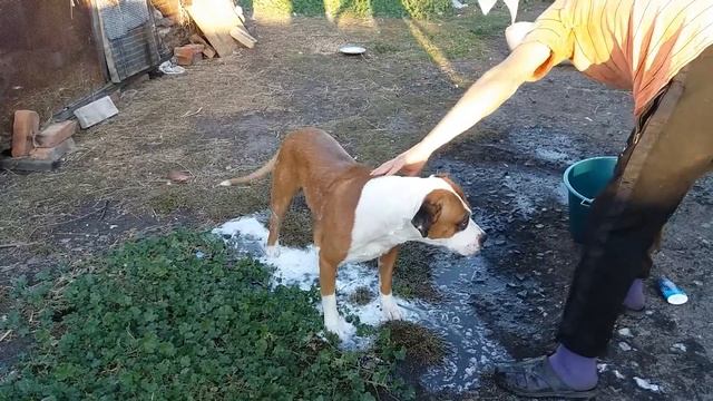 Летний душ смотреть онлайн