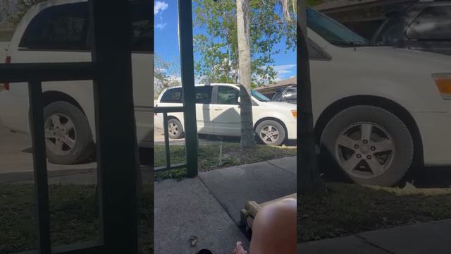 🔴 Уборка апартамента 🔴 Никита Забазнов и другие ЖИЗНЬ в Америке Florida Orlando USA 23.03.2024 смотреть онлайн