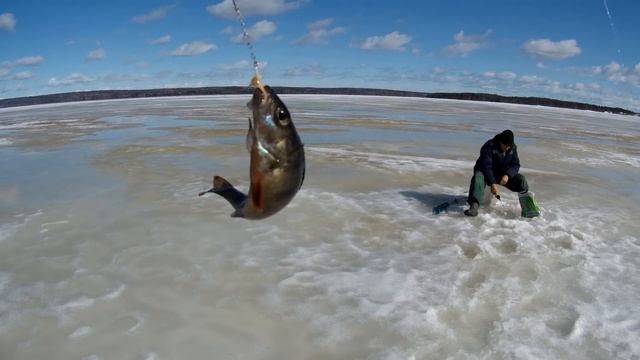 Рыбалка на Габозере-Сандал,начало весны-7.04.2018г-Fishing Gabozero Sandal spring 7 .04.2018г смотреть онлайн