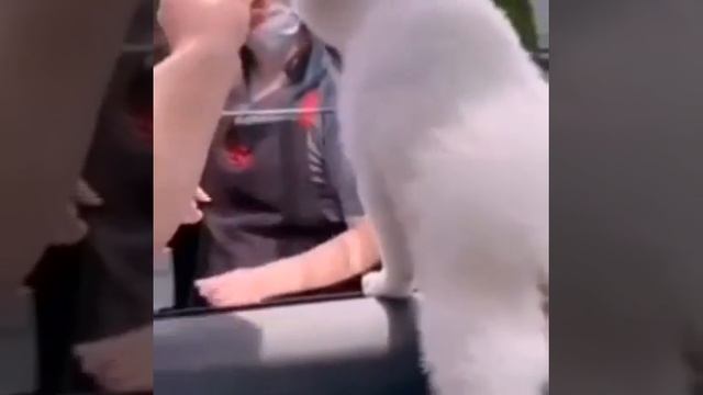 Морожка смотреть онлайн