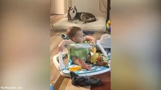 КАК ЖЕ МЕНЯ ДОСТАЛИ МОЛОДЫЕ МАМКИ смотреть онлайн