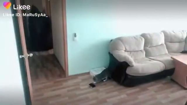 Я С ЛП НА НОЧЁВКЕ🤣🤣 смотреть онлайн