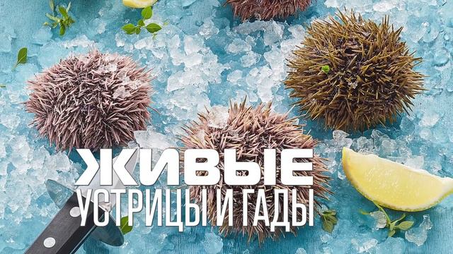 Живые устрицы и ГАДЫ смотреть онлайн