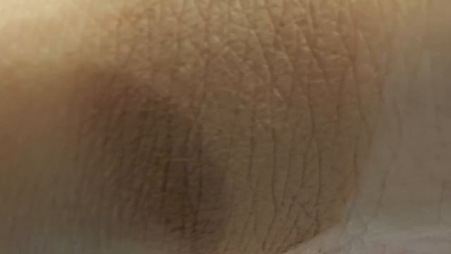 diego dalla palma Collection Makeup Autunno 2015. Makeup - Review- смотреть онлайн