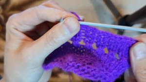 как связать носки для собак и кошек