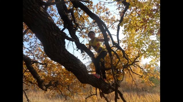 осенний мотив смотреть онлайн