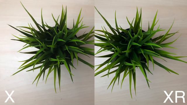 iPHONE XR Vs iPHONE X CAMERA TEST! (Photo Comparison) смотреть онлайн