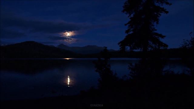 Thank The Lord For The Nightime Sung By Tony Amendola смотреть онлайн