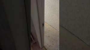 Установка недорогих межкомнатных дверей в обычной хрущевке.