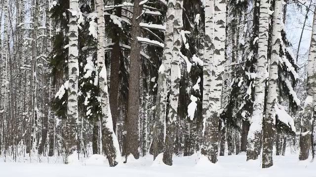 Ангелы и демоны приближаются к людям и предлагают им Своё [Заметка 27 на полях Милостивого времени] смотреть онлайн