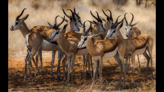 ТРИЗ. Конструктор "Стандарты". Опыт 5 С озвучкой. Летающий ролик. смотреть онлайн
