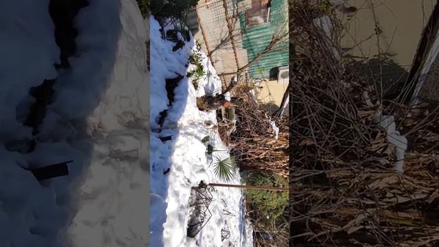 19 марта 2021 г. смотреть онлайн