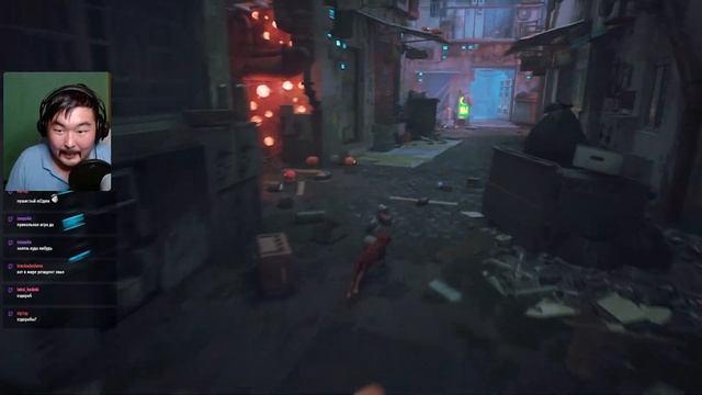 Stray ► Я рыжий кот смотреть онлайн