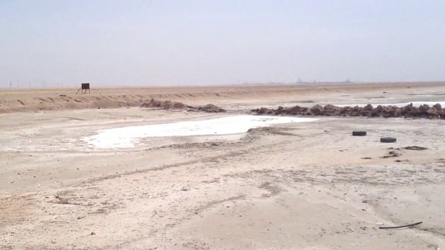 Сенсация! Найдено место падения летающей тарелки. Greystone снова в деле. смотреть онлайн