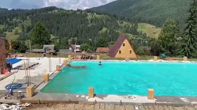 Отдых с коровой в бассейне