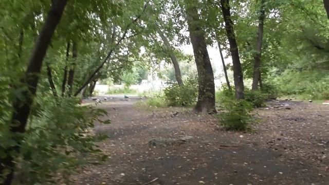 Новоспасский пруд - свалка, утки и водомерки смотреть онлайн