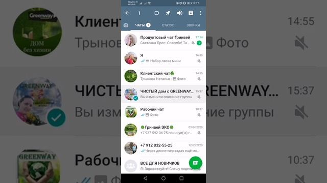 Как закрепить чат в WhatsApp смотреть онлайн