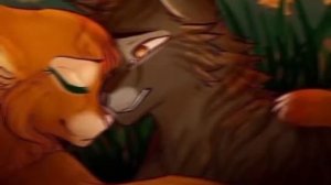 рыжая кошка ( песня рацацай)