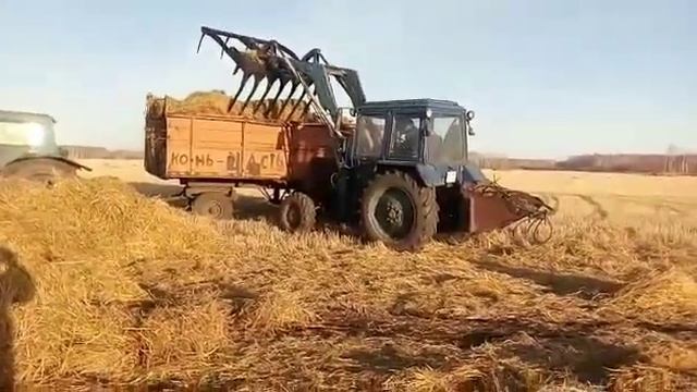 Вилы для сена - стогомет, от Всё ЖЕЛЕЗНО. Омск смотреть онлайн