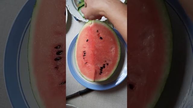 Арбуз подарок северу f1. 17.08.2020 смотреть онлайн