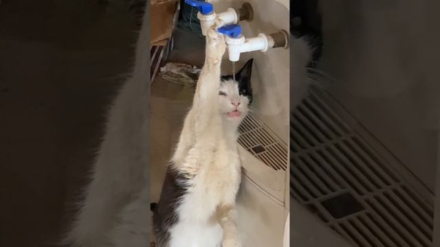 Утром после тусы ?? смотреть онлайн