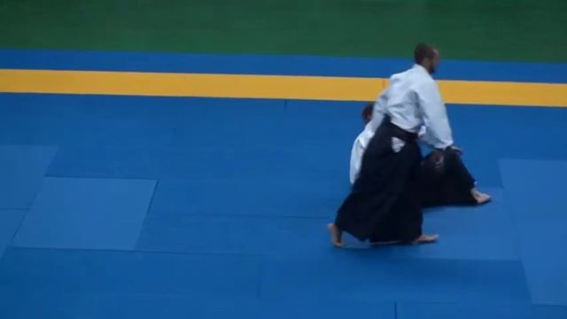 Сборная ФААМО. IX Фестиваль Айкидо Айкикай 2011 смотреть онлайн