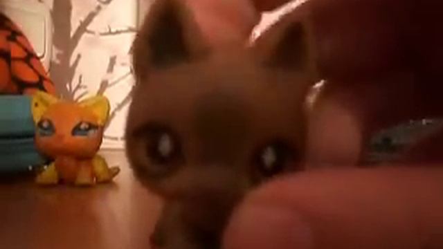 это ужаааас!!! я не могу снимать! смотреть онлайн