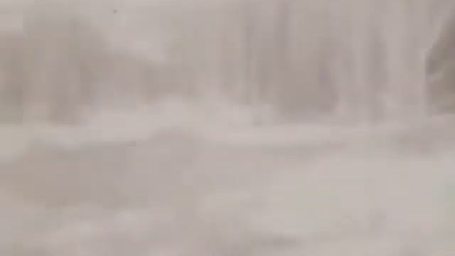 Где-то багульник на сопках цветёт -- Тамара Миансарова смотреть онлайн
