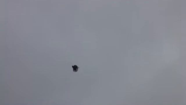 СВГ Вадик Голуби Макеевка Видео 1 смотреть онлайн