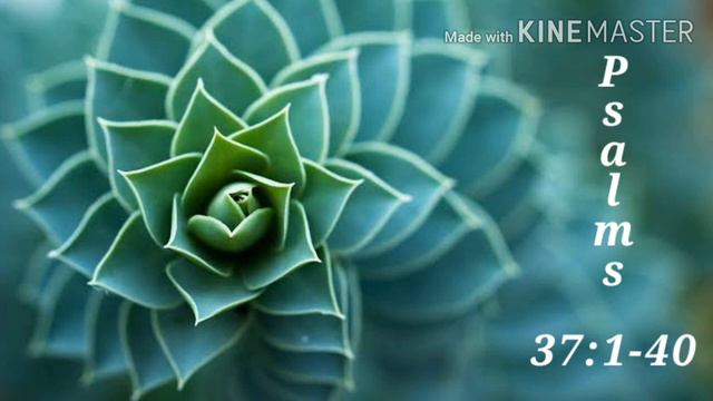 Psalms 37:1-40 || daily Psalms || English audio Psalms смотреть онлайн