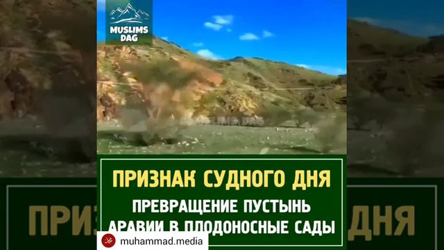 Один из признаков судного дня пустыня превращается в плодоносный сад смотреть онлайн