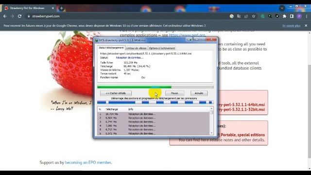How To Get download And Install Perl 2023 смотреть онлайн