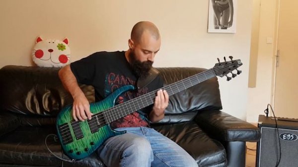 Cannibal Corpse - The Bleeding (Bass Cover)
