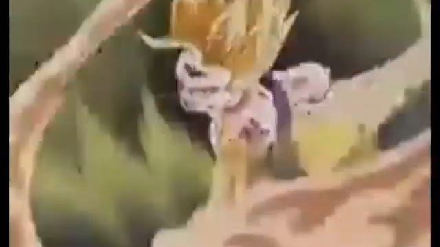 MINECRAFT JAVA DANS MINECRAFT BEDROCK (tro bien) смотреть онлайн