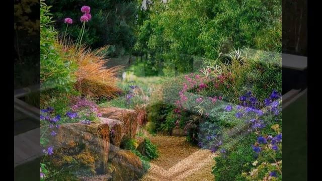 КРАСИВЫЕ ИДЕИ ДЛЯ ДОМАШНЕГО САДА / ОЗЕЛЕНЕНИЕ И ОБУСТРОЙСТВО/ garden ideas? смотреть онлайн