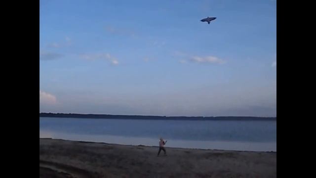 Два Андрея и воздушный змей. смотреть онлайн