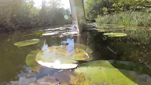 Каякер Самара приходите на обучение на каяках в Самаре смотреть онлайн