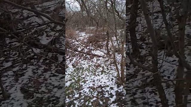 как и чем топить русскую баню смотреть онлайн