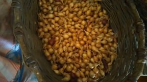 СЕВОК НЕ УЙДЕТ В СТРЕЛКУ 100% !!! ЧТО НУЖНО СДЕЛАТЬ?