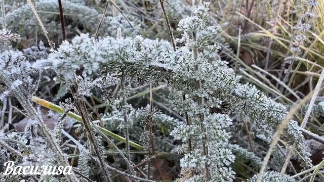 19 ноября день Павла. Что нельзя делать 19 ноября день Павла. Народные традиции и приметы смотреть онлайн