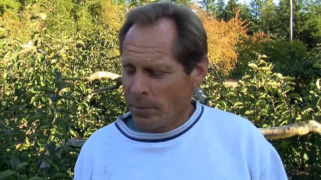 Back To Eden Gardening Documentary Film - How to Grow a Regenerative Organic Garden смотреть онлайн