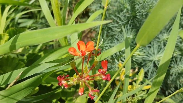 Inspirational Blues-Rock Music for inspiration Music for soul Вдохновляющий Блюз-Рок Музыка для Душ смотреть онлайн