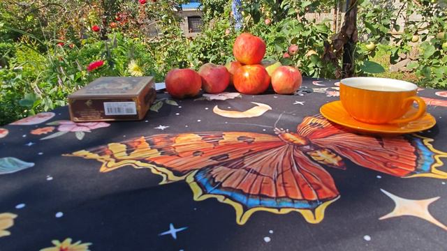 МАБОН осень уютные посиделки смотреть онлайн