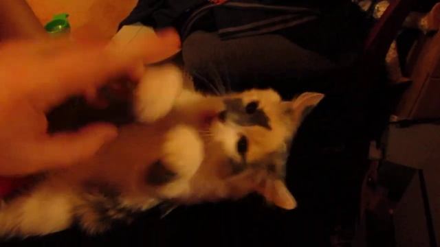 [Natalex] Балуемся с Лили :-)))