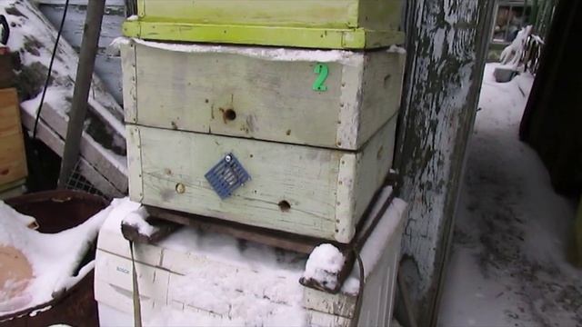 февраль на пасеке и зимовка пчел в зимовнике - на что обратить внимание в первую очередь