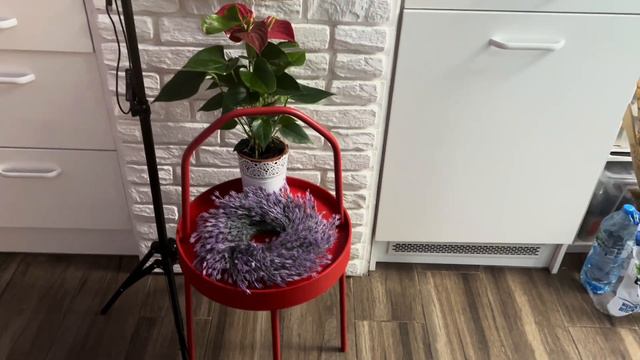 Декорации дома на Пасху. Демонстрация одежды с рынка. Опять паника . смотреть онлайн