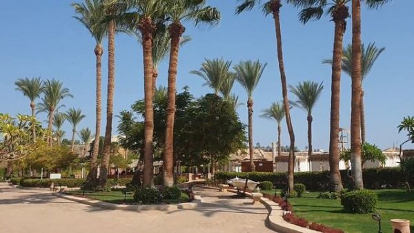 Обзор IBEROTEL Palace 5* - лучший отель с песчаным заходом. Египет/Шарм-Эль-Шейх