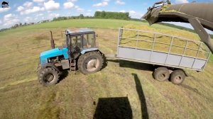 Заготовка силоса на зиму